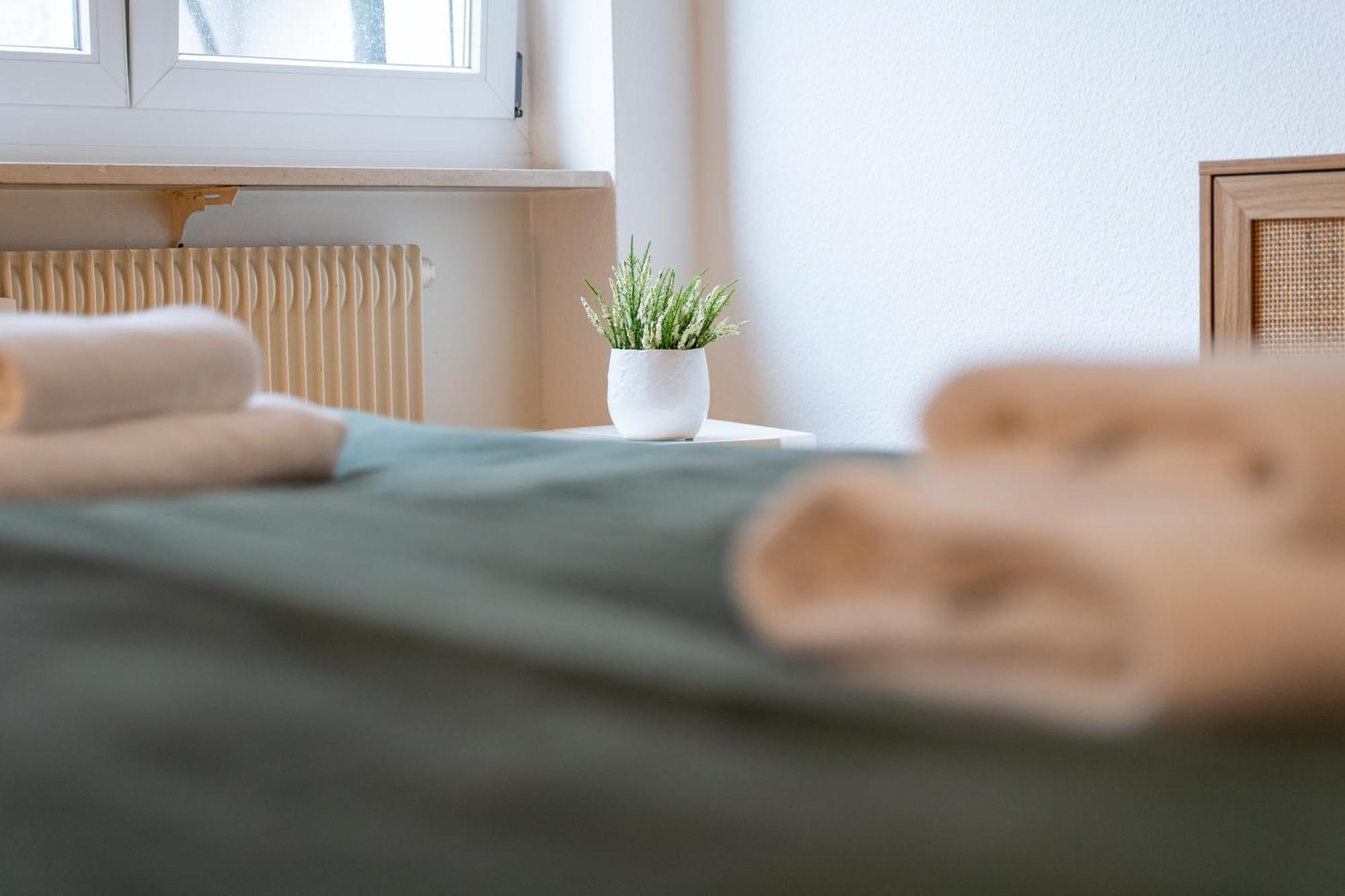 Gemuetliche Grosse Wohnung Naehe Uni Basel Eksteriør bilde